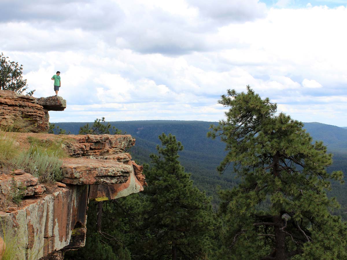 Mogollon Rim views